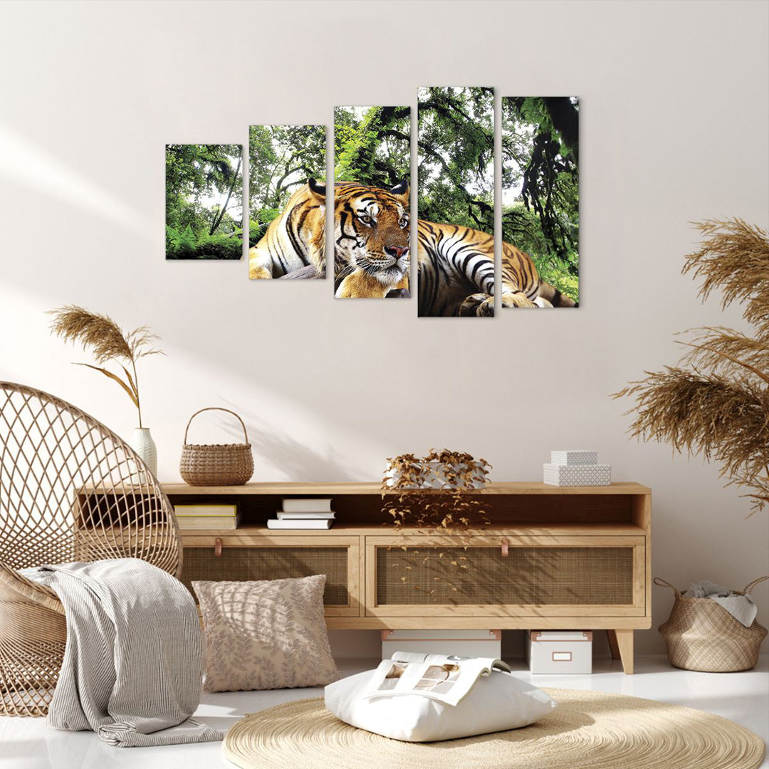 5-tlg. Leinwandbilder-Set Tiger Jungle Rest