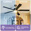  Ventilateurs de plafond de 42 po / 52 po avec lumières et télécommande-370265357