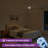 Karlena 52'' Modern Large Ceiling Fan With Led Lights And Remote Control, App, Timer, Memory-1618840099
