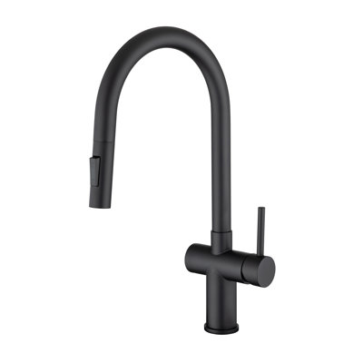 Rainlex Pull Down Kitchen Faucet