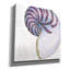 «Shimmering Shells 6» par James Wiens, art mural sur toile-570551555