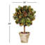 Faux Pine Topiary in Pot