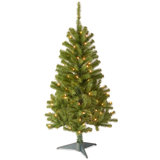 4ft. Canadian Grande Fir Tree with Clear Lights