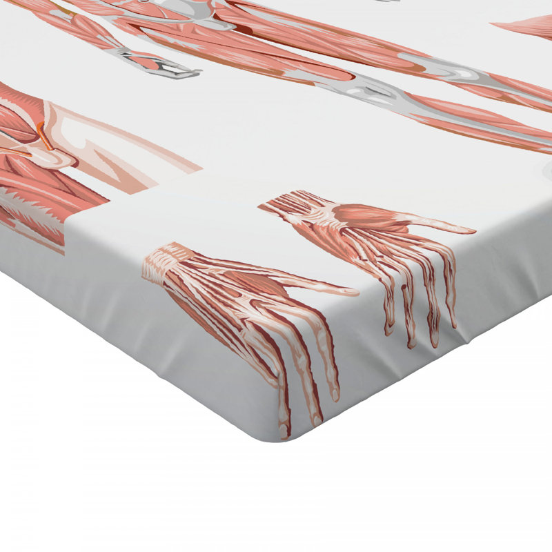 Microfiber Fitted Sheet, Twin XL Fitted Sheet
