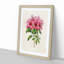 Illustration of a Bunch of Pink Azaleas - Picture Frame Painting Print-55579215-55579214
