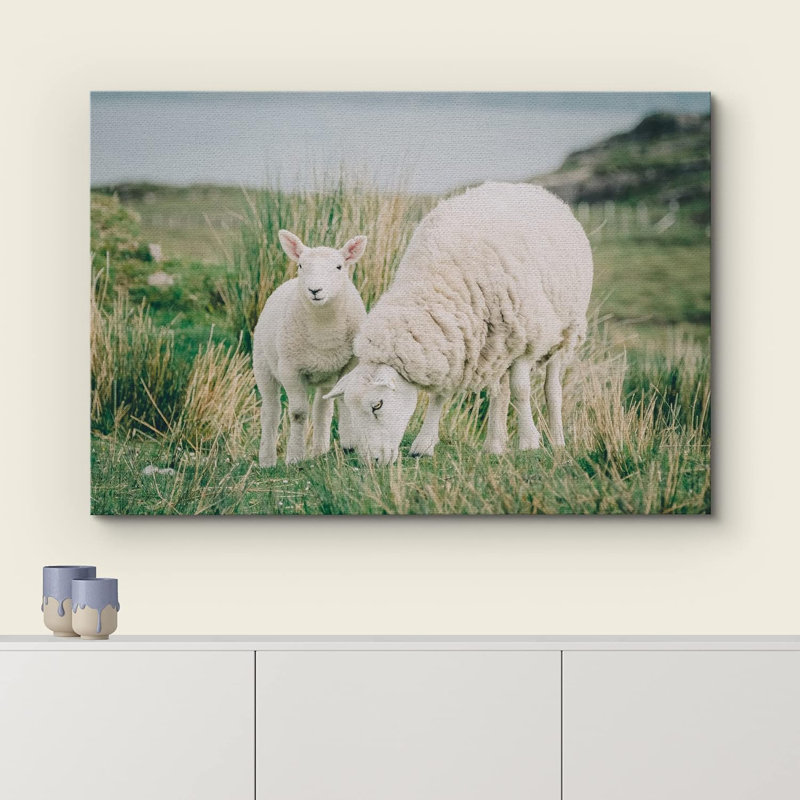 Animaux, Écosse, Irlande, campagne, mouton, agneau, H 24 po x l 36 po x P 1,5 po, Toile tendue