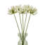 Arrangement-111171323