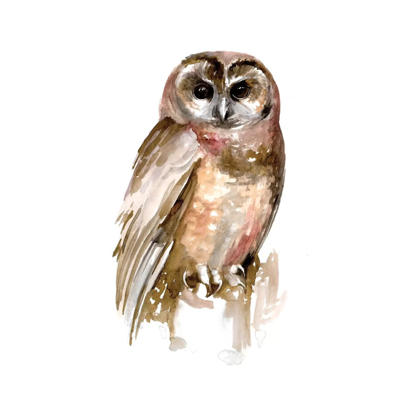 Watercolour Owl II 1 Piece Wrapped Canvas Wall Art, 101.6cm H x 66.04cm W x 1.905cm D