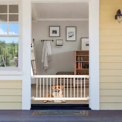 Porte pour chien 10 po
