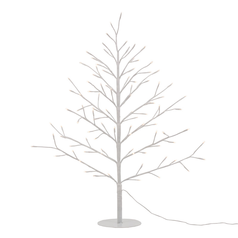 Sapins éclairés/branches