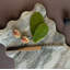 Kora Large Marble Serving Board