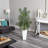 Areca Palm Tree in Planter