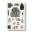 Collection Of Fossils II by Oliver Goldsmith - Wrapped Canvas Print-55371216