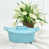 Turquoise est en rupture de stock