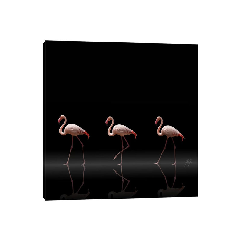 Flamingo Parade by Kathrin Federer - Wrapped Canvas Print, 30.48cm H x 30.48cm W x  1.91cm D