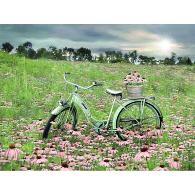 " Sagebrush Bicycle "