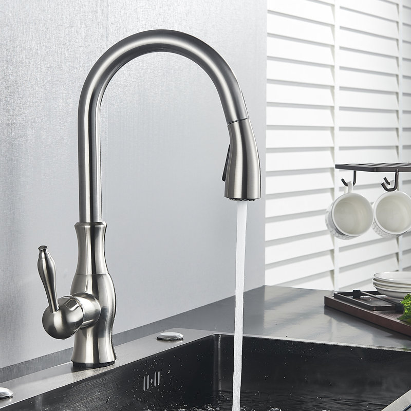 Belfry Kitchen Wyndemere Pull Out Kitchen Faucet