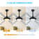 Osaze Ceiling Fan with LED Lights
