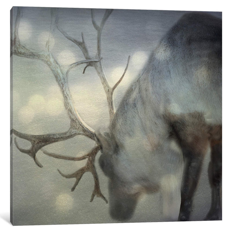 If On A Winter's Night by Keri Bevan - Print on Canvas, No Frame, 66.04 cm H x 66.04 cm W x 3.175 cm D