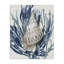 «Shell Coral Blue Beach» par Caroline Kelly - reproduction d'art-289772216-289772210