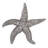 Starfish Handmade Coastal Landscape & Nature Wall Decor on Polyresin-21529050