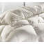 Siberian Goose Down Comforter-625000874
