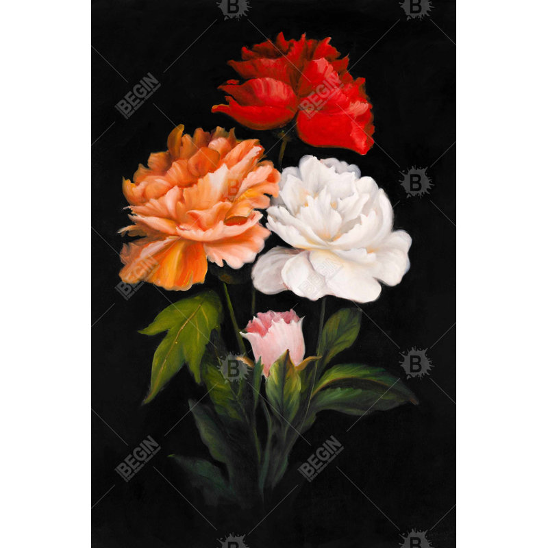 " Three Beautiful Rose Flowers "