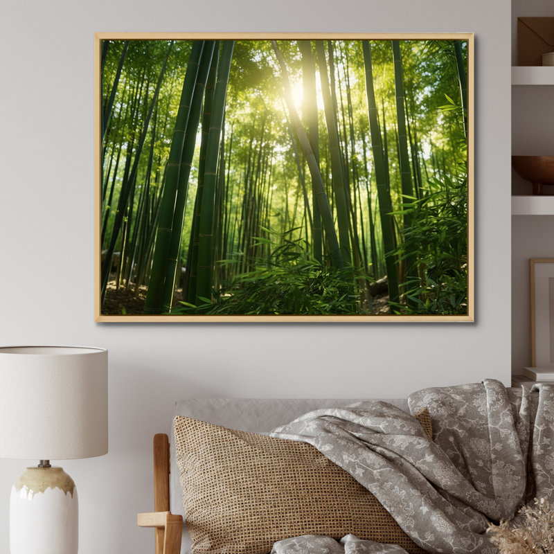«Dynamic Light Bamboo Grove II» sur toile, Cadre naturel flottant, H 24 po x l 32 po x P 1 po
