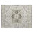 Machine Washable Indoor/Outdoor Chayden ACN1036 Rug-2146265976