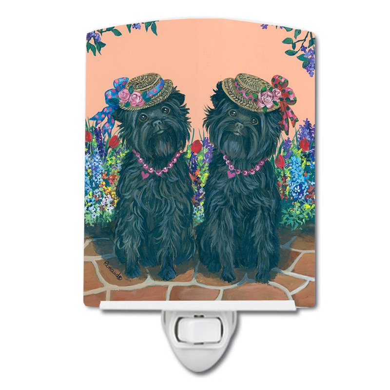 Veilleuse Westie, Sœurs Affenpinscher