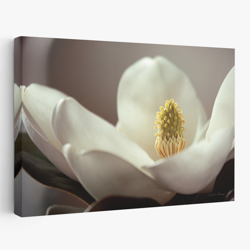 Fleurs florales - détail magnolia II, H 16 po x l 24 po