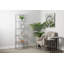 Adrio Book Shelf for Study Room Furniture, Metal Ladder with Chrome Finish-1969907013