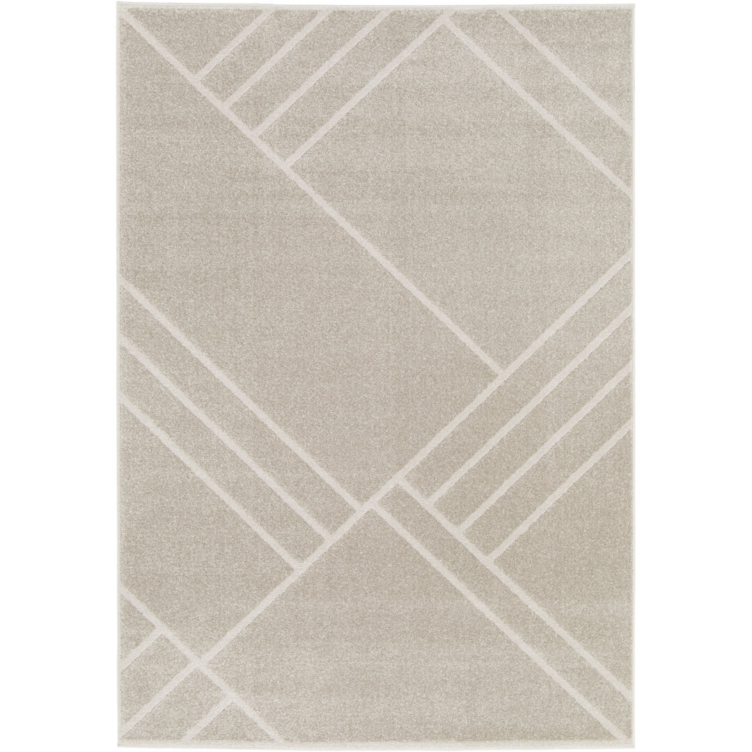 Teppich Abagaile in Grau/Beige