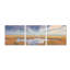 Ensemble de 3 pièces «Early Risers» par Steve Hunziker, art mural en verre acrylique-102020241
