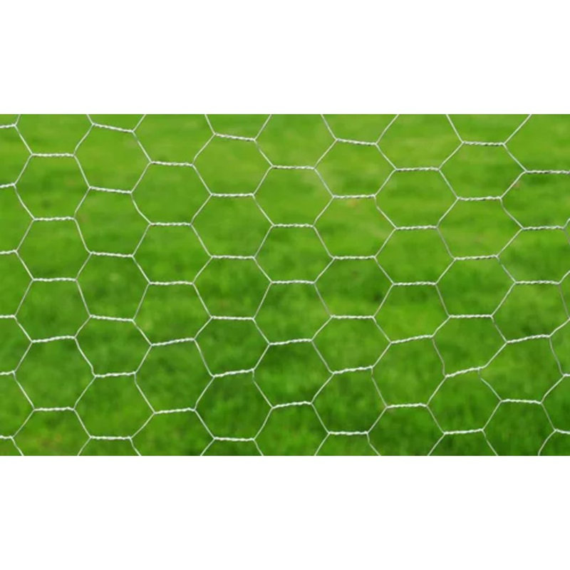 Chicken Wire Fence with PVC Coating 25x1 m, Silver