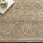 Madeleine Vintage Beige Area Rug-1221003902