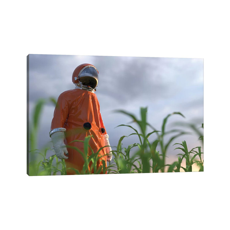 Astronaut On A Green Field by Mike Kiev - Wrapped Canvas Print, 20.32 cm H x 30.48 cm W