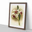 Magnolia Flowers Illustration Tab. 25 by Frederick Sander - Picture Frame Painting Print-55759083-55759084