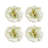 Melamine Dinnerware Set 16 Piece - Service for 4