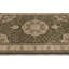 Natalyah Oriental Area Rug in Green/Brown