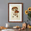 Champignon Variétés VI encadré mat - prêt à accrocher-868071633-868071640
