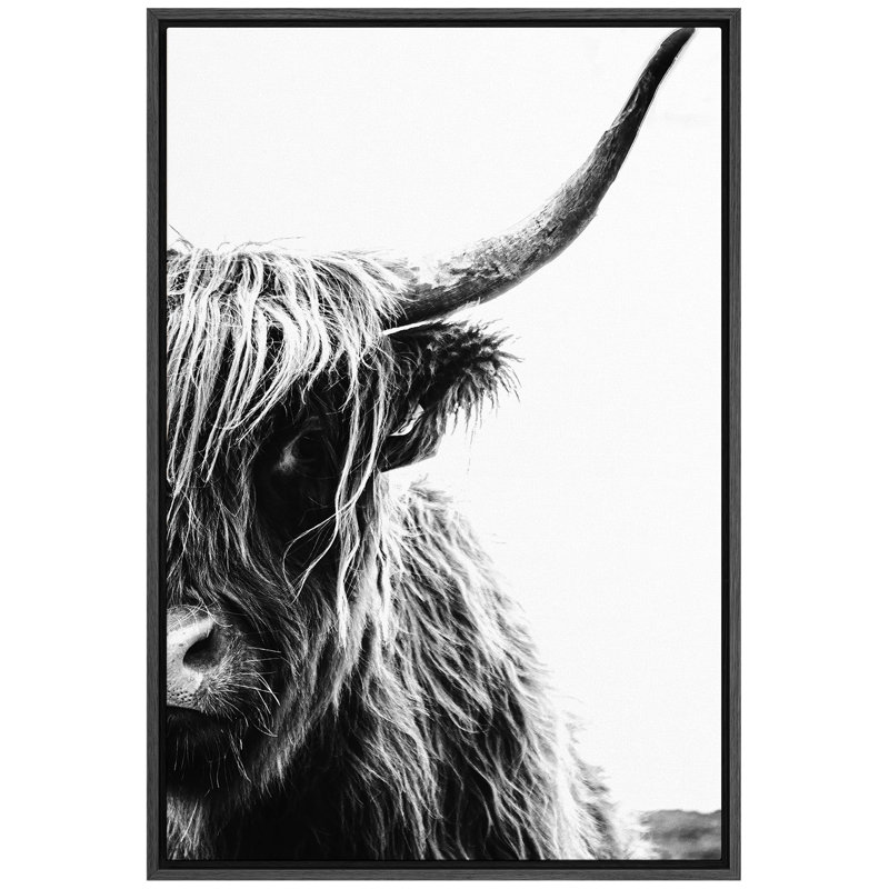 «Animals Black & White Shetland Cow», reproduction d'art sur toile, Noir, H 36 po x l 24 po x P 1,5 po