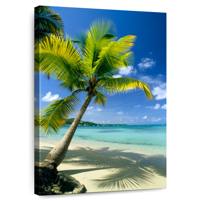 Gillard Tropical Sainte-Anne Gillard, 12" H x 8" W