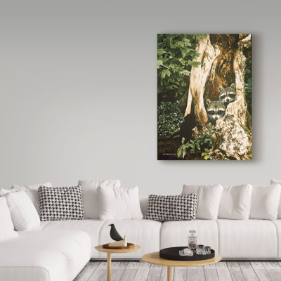 «Raccoon pair» par Etelca, impression sur toile tendue