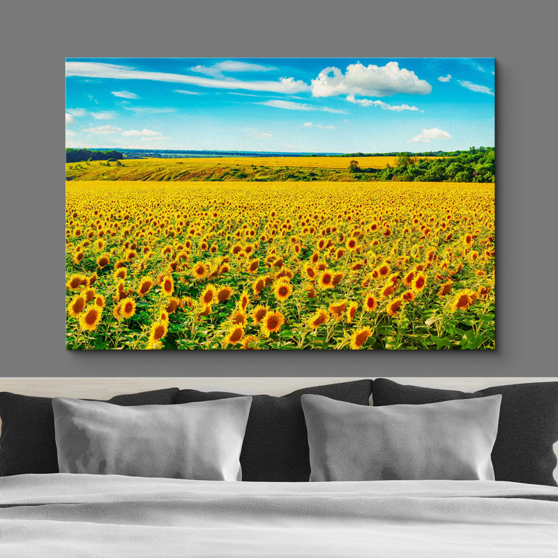 Tournesol «Vibrant Sunflower Countryside Farm Wilderness» sur, H 16 po x l 24 po