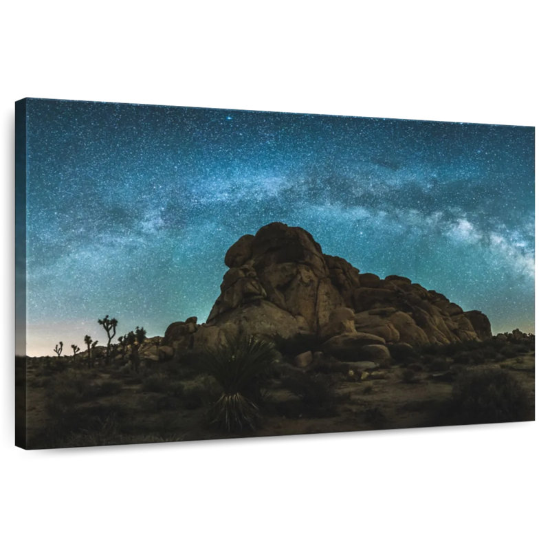 Oberle Joshua Tree, ciel nocturne, H 24 po x l 36 po