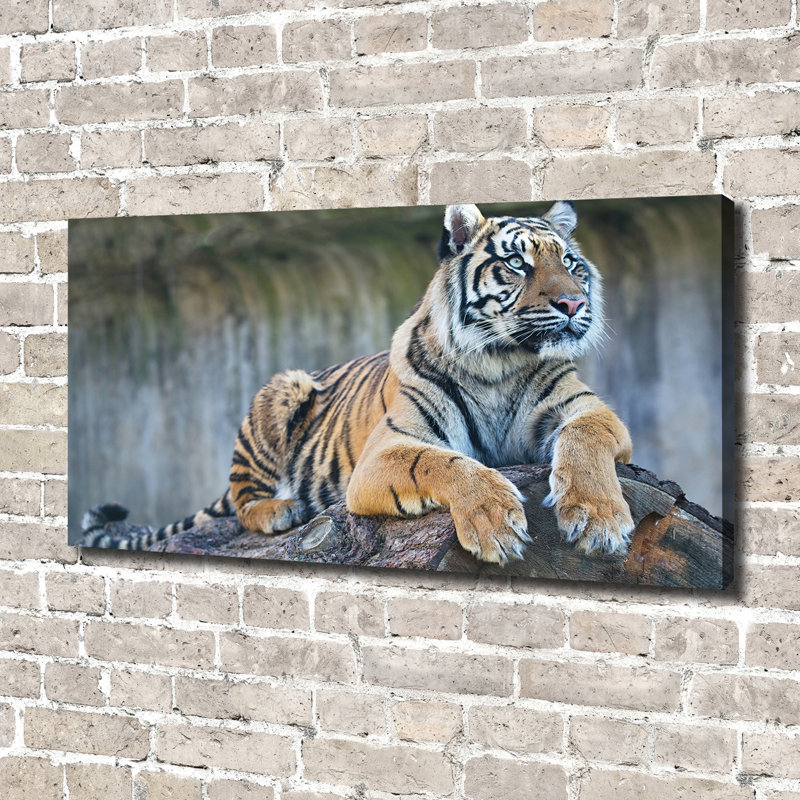 Tiger - No Frame Print on Canvas
