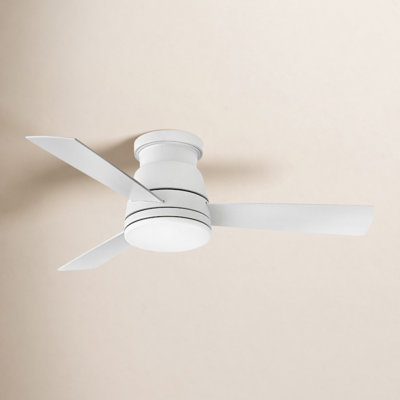 Peppa 44'' Ceiling Fan with LED Lights