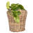 Round Planter With Plastic Insert