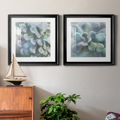 Soft Succulent I - Matted and Framed Under Acrylic Glass, Set of 2, Large Living Room Wall Art